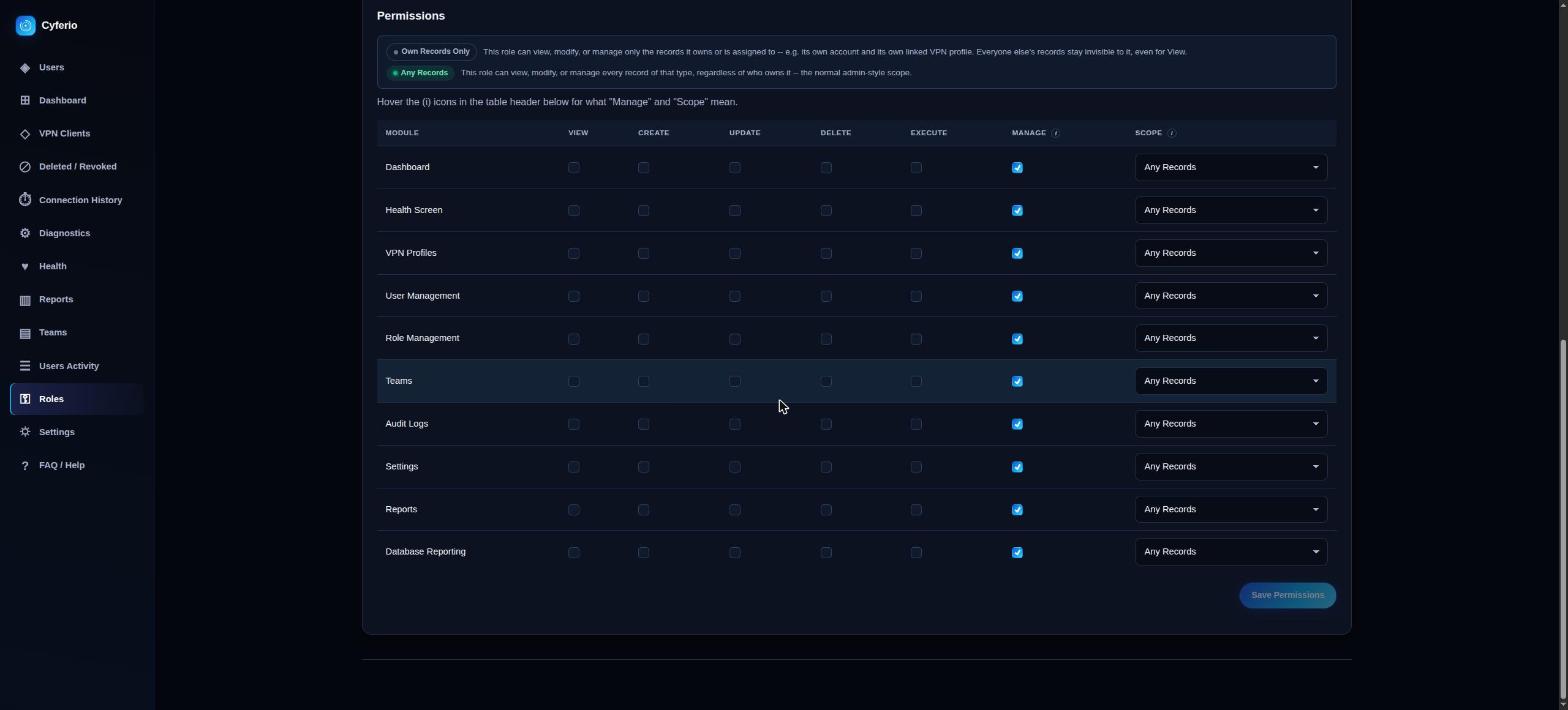 Cyferio role management: per-module view/create/update/delete/manage permission matrix